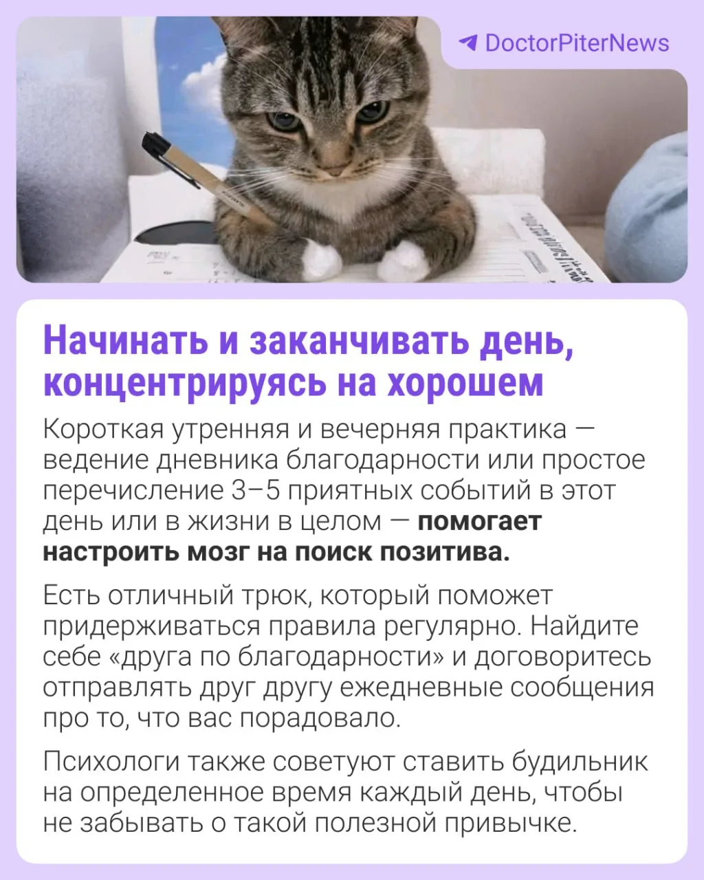 Изображение 3 к публикации «Афиша Новосибирска | НГС»