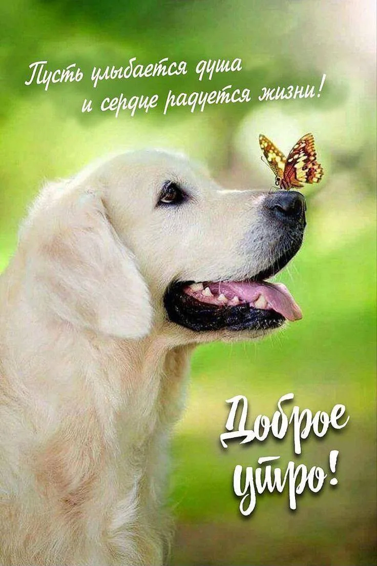Женские открытки💝