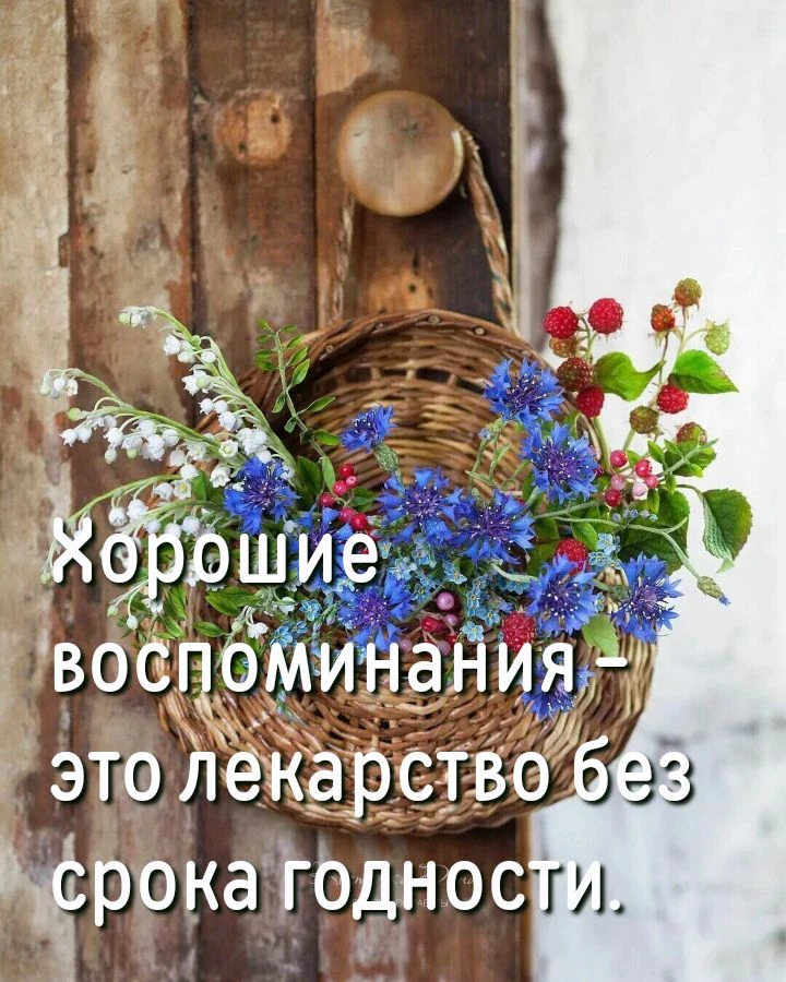 #цитаты