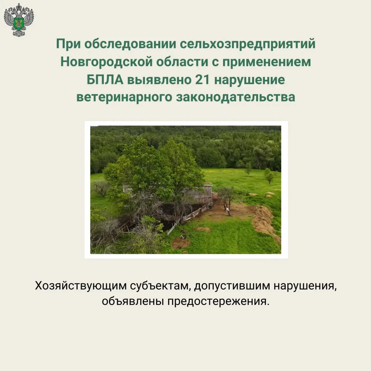 🔗 Подробнее на сайте