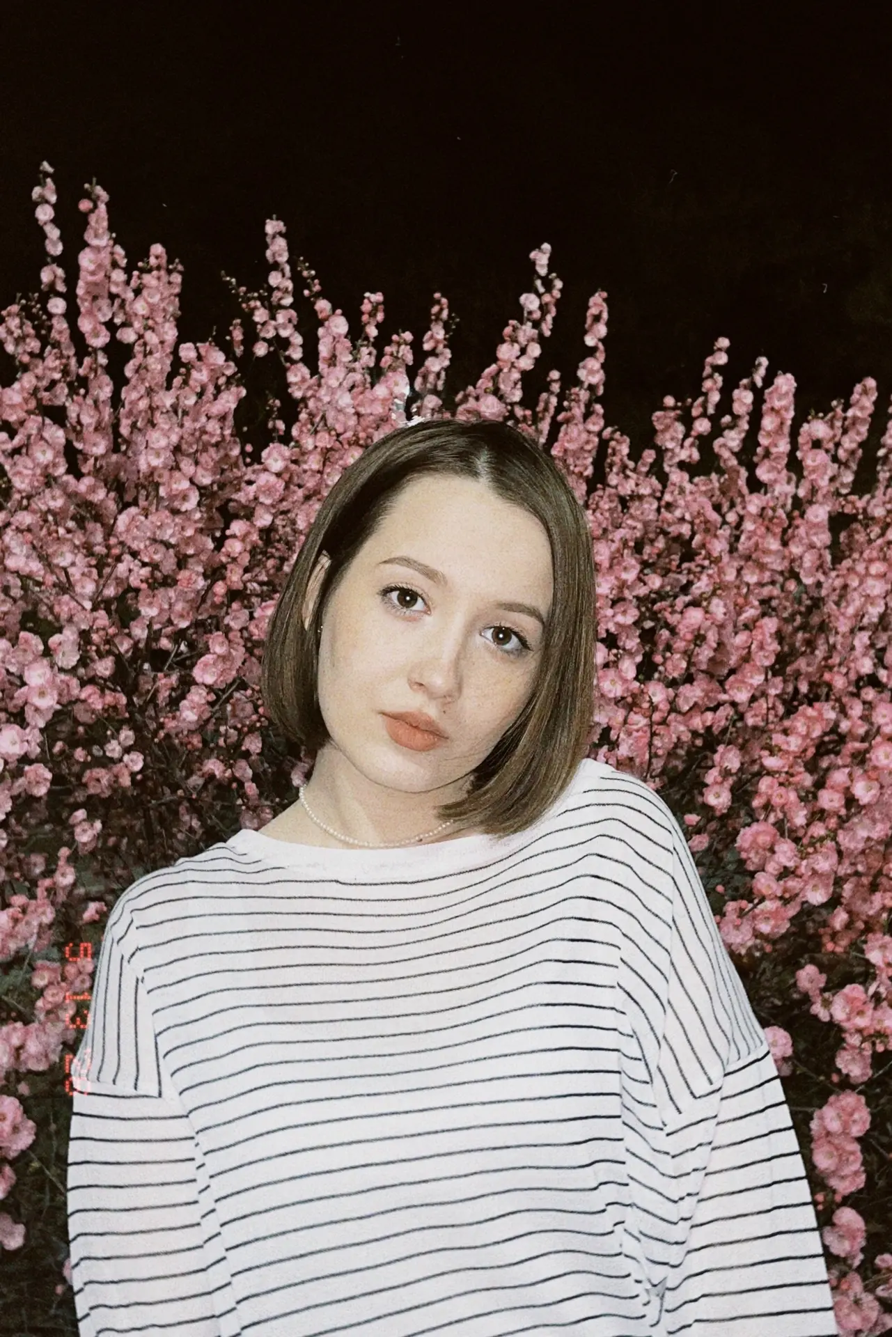 📸 Открываем марафон фотографий с сакурой!
