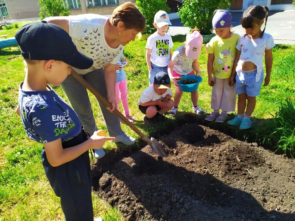 🌱Посадка картошки🌱