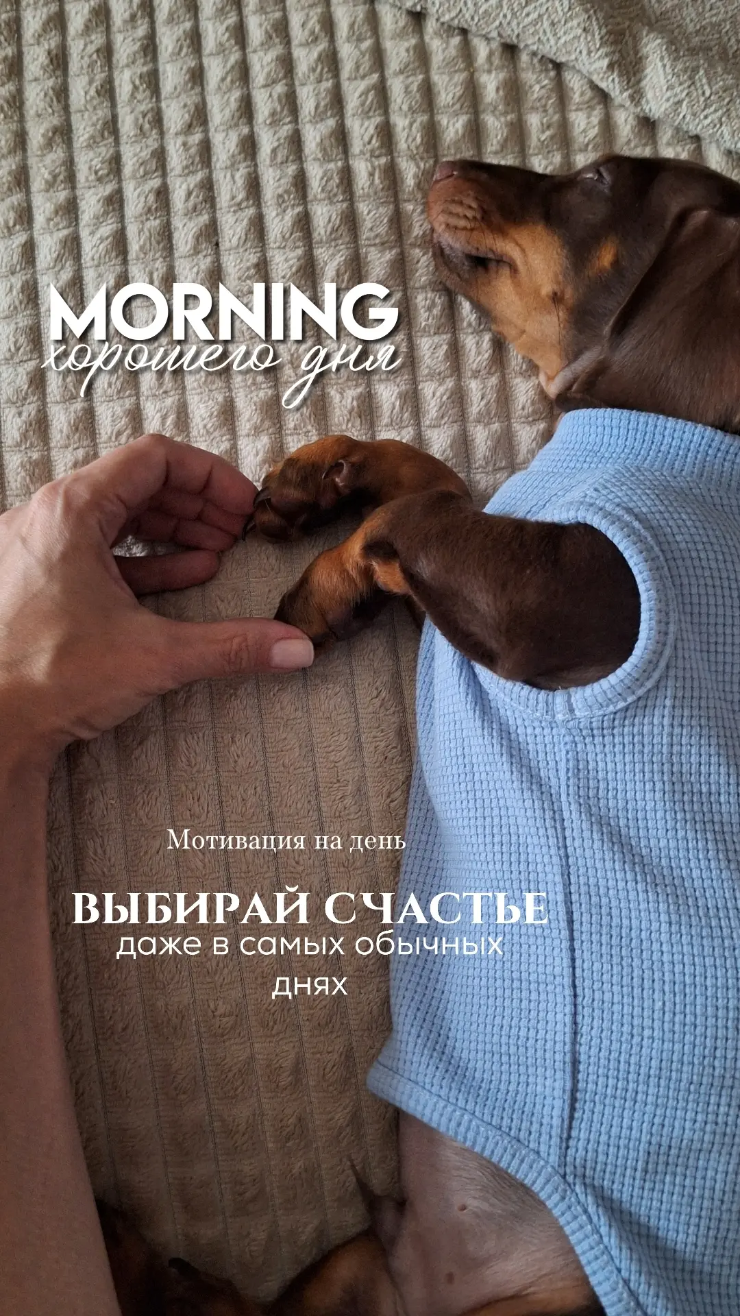 Зашла пожелать вам доброго утра. Или уже скорее дня 🤪