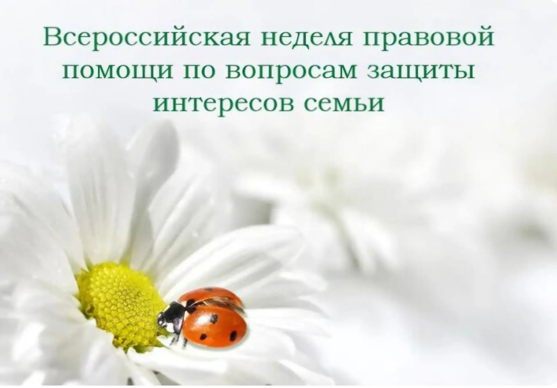 Всероссийская неделя правовой помощи: вместе ради благополучия семьи!

С 6 по 12 июля 2026 года прох