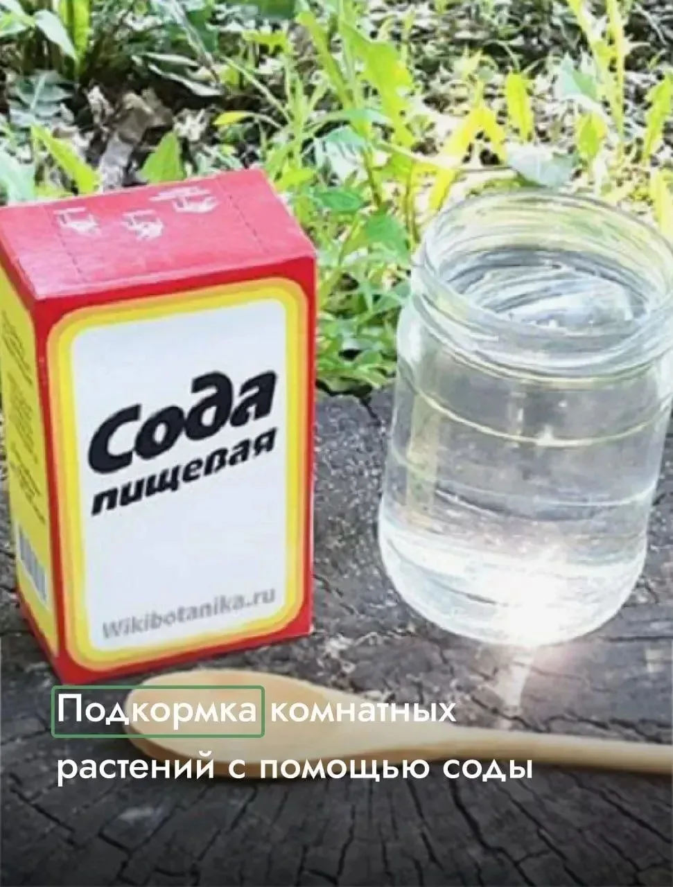 Подкормка комнатных растений с помощью соды 🪴

1️⃣Когда стоит использовать соду?
Если растение заме