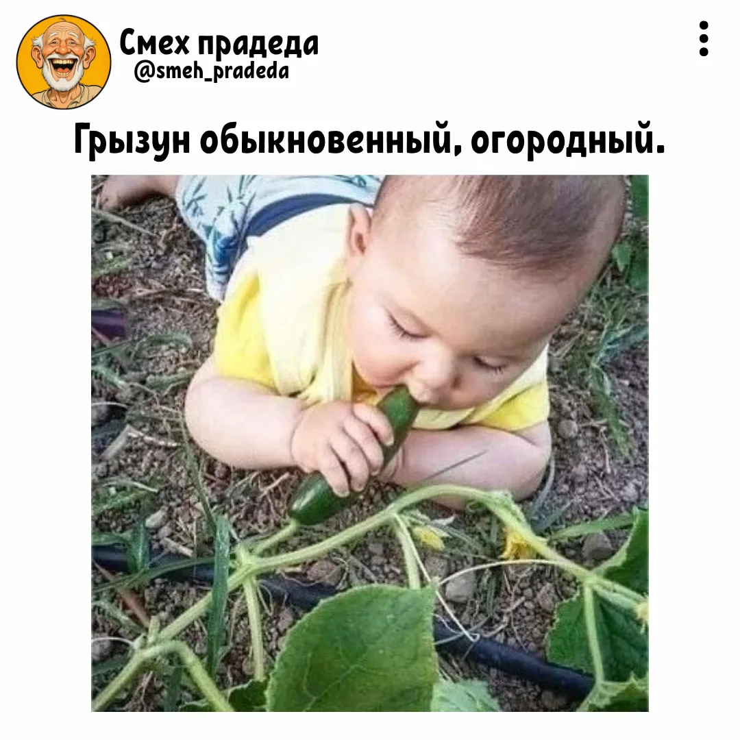 ➠Смех прадеда
