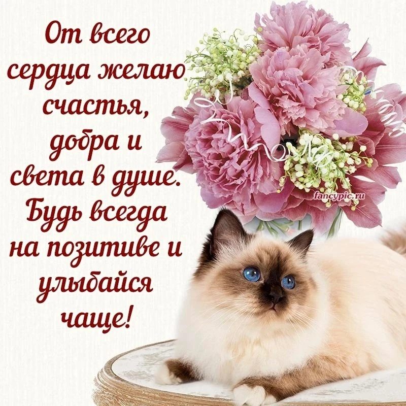 🌼Прикольные открытки