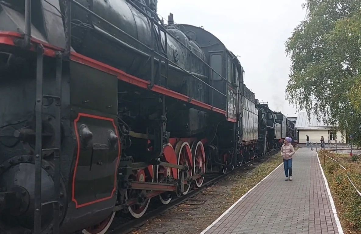 «Софья и царские червонцы: победа на городском конкурсе!»                                           