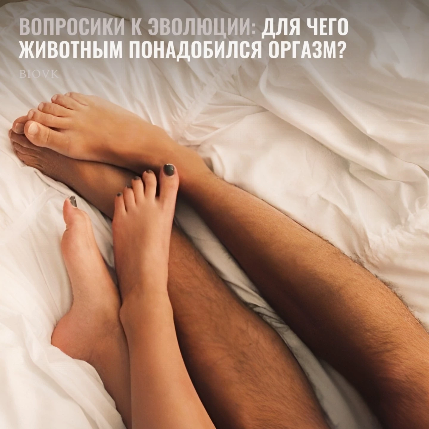 Сегодня поговорим о главной биологической радости, ради которой человечество веками пишет стихи, ска