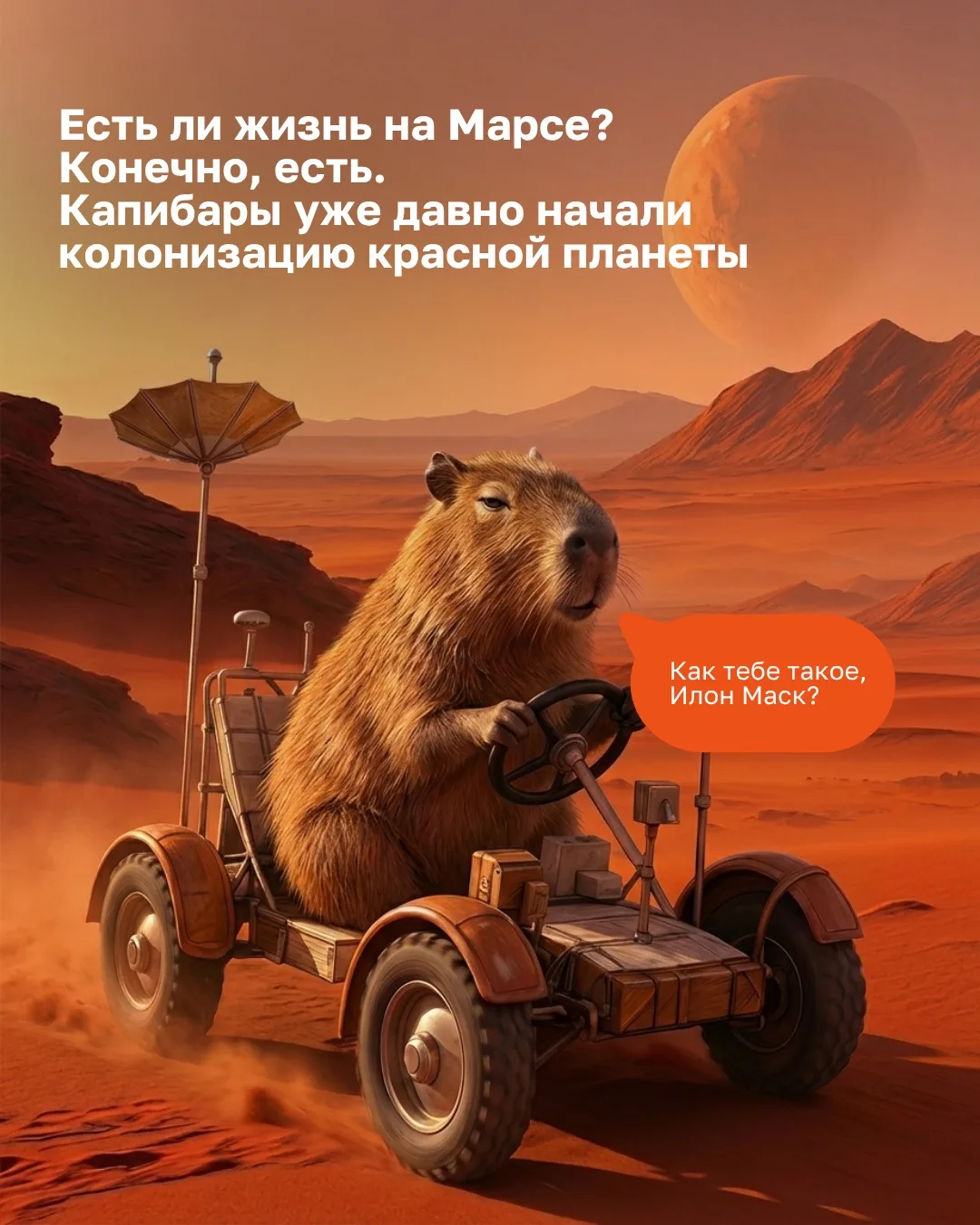 Время раскрыть тайну космоса… И не одну! Друзья, Капи и Бара передали нам информацию с маркировкой «