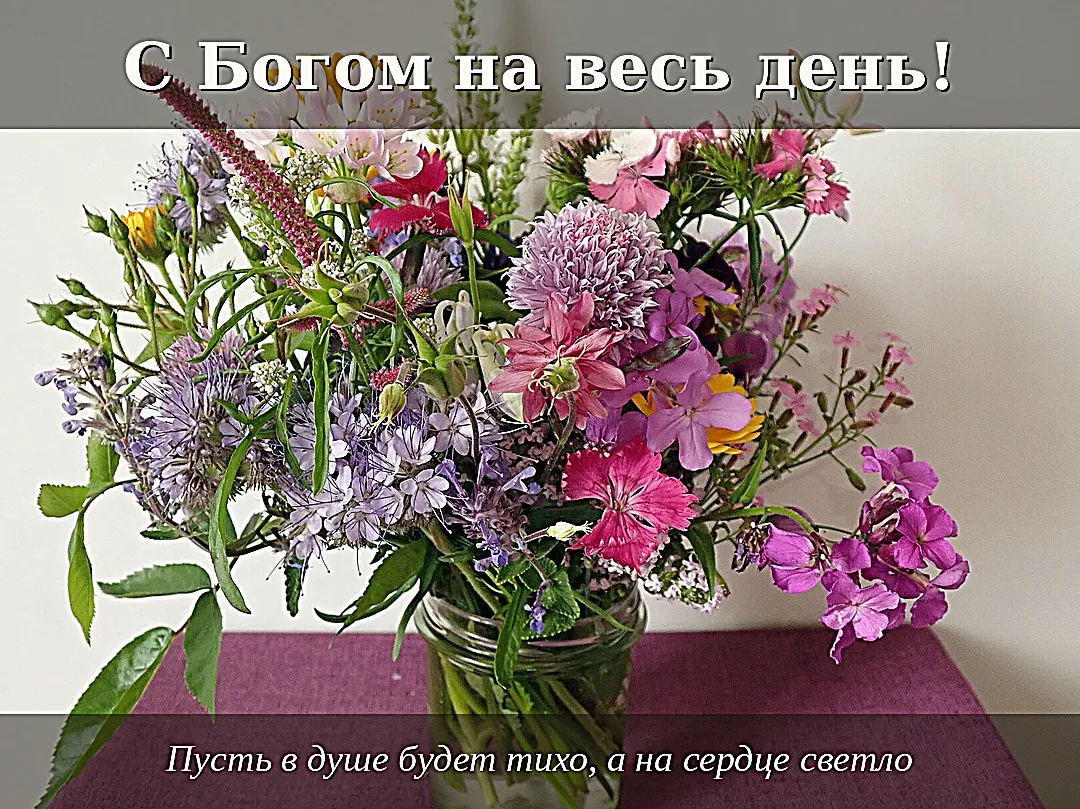 Ангела-хранителя вам в дорогу и добрых людей на пути