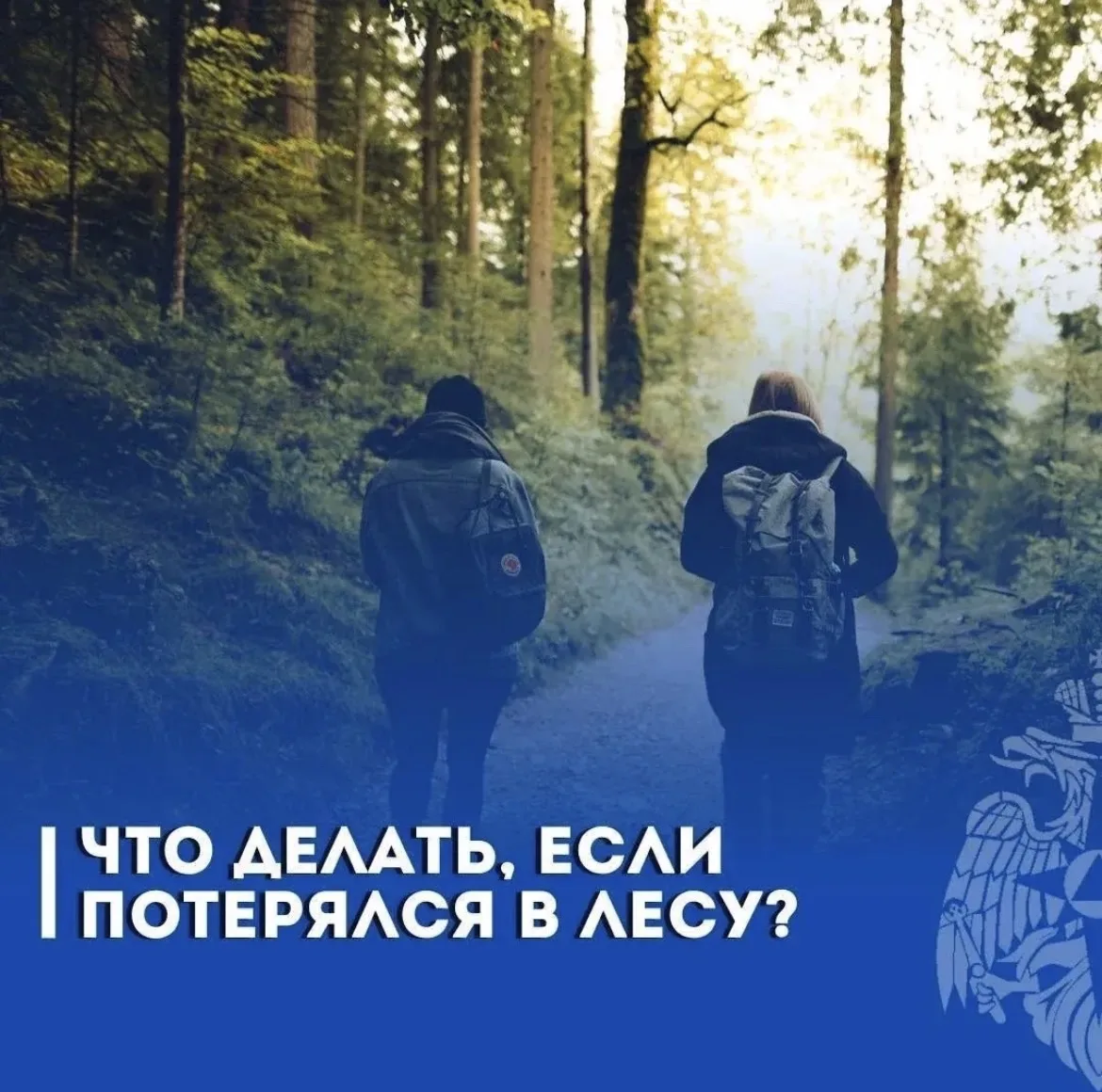 🌲Отдых - только БЕЗОПАСНЫЙ!

Что делать, если потерялся в лесу❓
МЧС России напоминает:
🔹сообщи о м