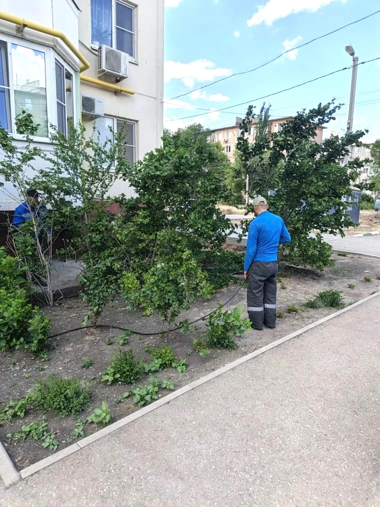 К новости «🌿 Зеленый оазис у дома: монтируем систему автополива!»