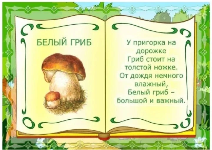 День белого гриба — это тематический праздник, который  посвящён одному из самых ценных...