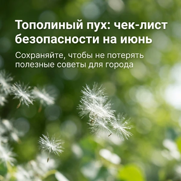 🌬️ Сезон тополиного пуха: чек-лист безопасности на июнь

Больших пуховых сугробов на улицах Менделе