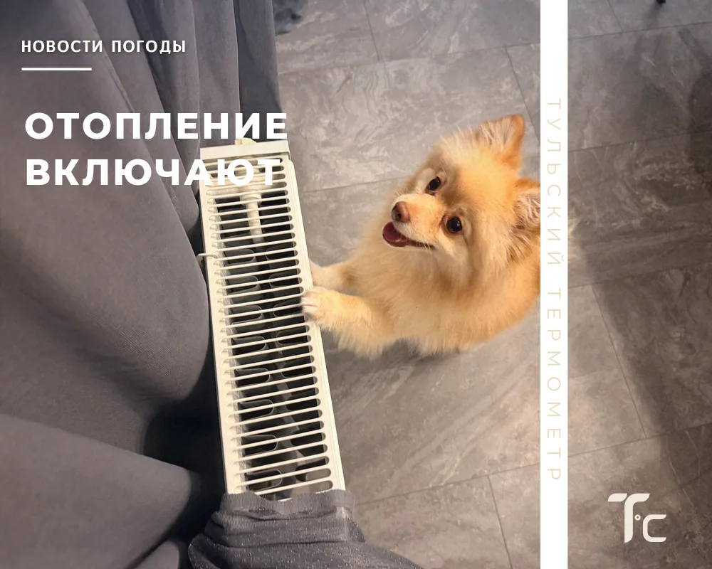 🏠 Мы дождались!​
