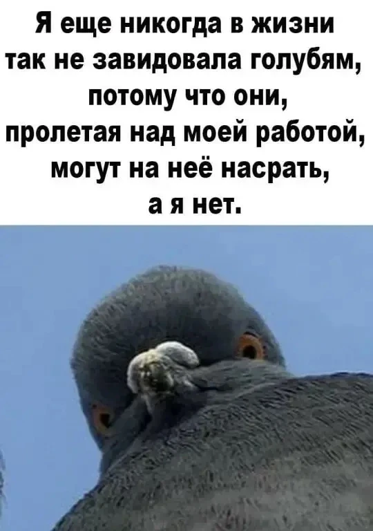 А зять не промах. Смотреть со звуком 😂😂