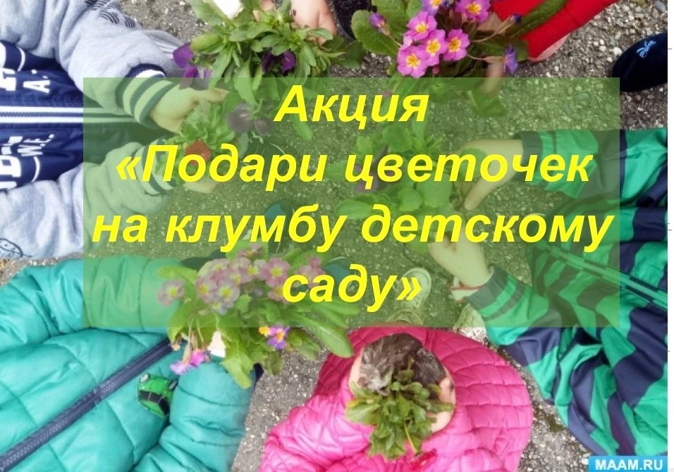 Акция «Подари цветочек на клумбу детскому саду»!