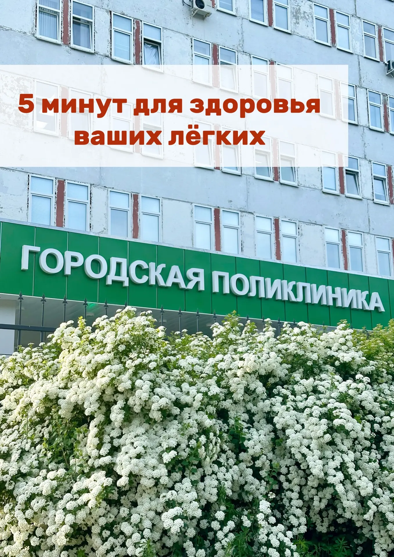 Когда: 24 мая (воскресенье) с 8:00 до 14:00