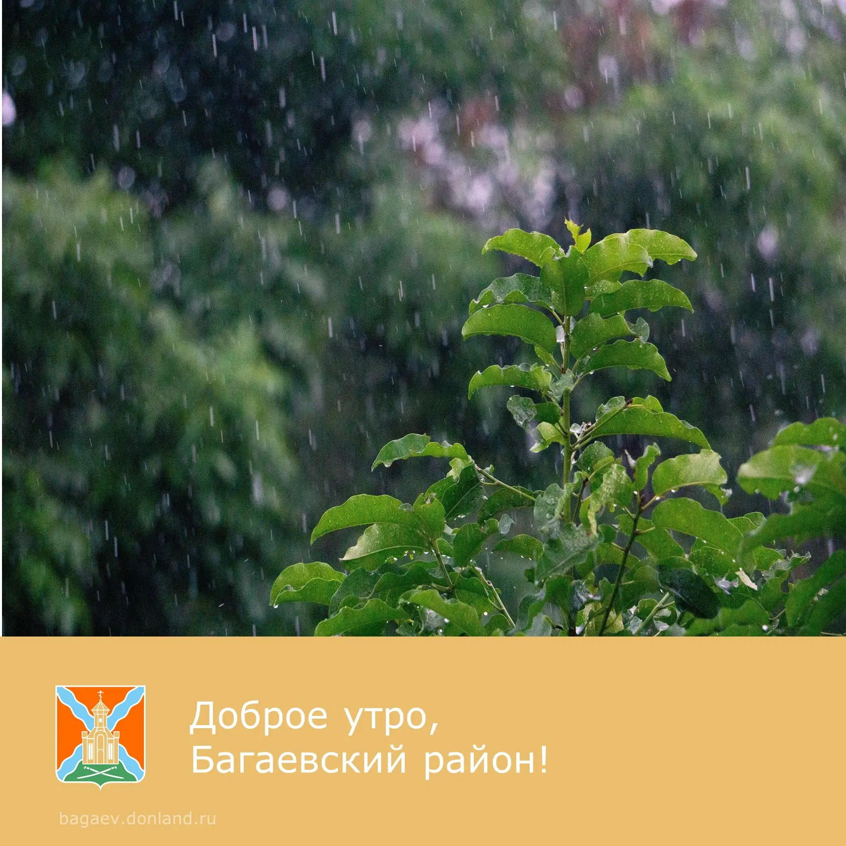 ☀️ Доброе утро, уважаемые жители Багаевского района!