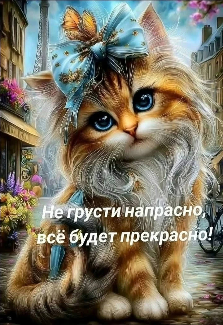 НАШИ КАНАЛЫ:
Идеи для дачи
Моя любимая дача
Дачные заготовки
Открытки на праздники
Открытки для люби