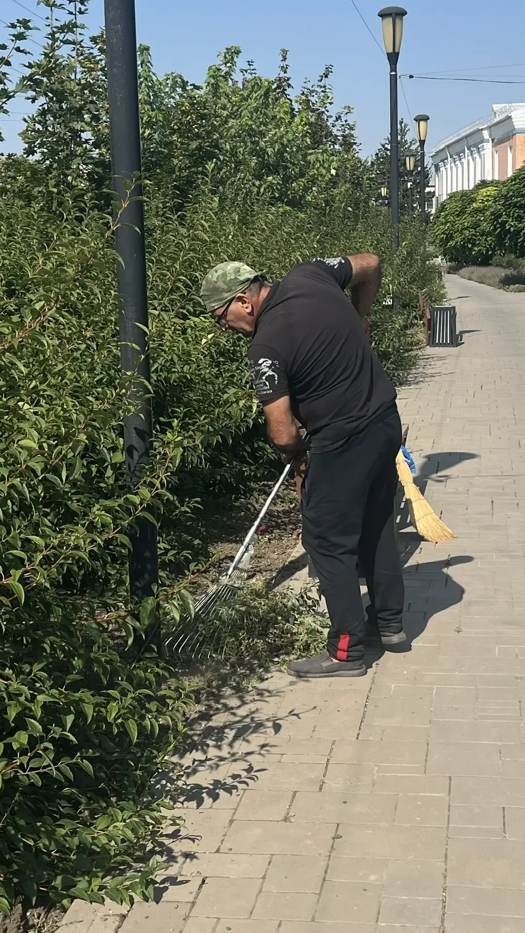 🌿 Сотрудники амбулатории — на благо родного села! 🌿