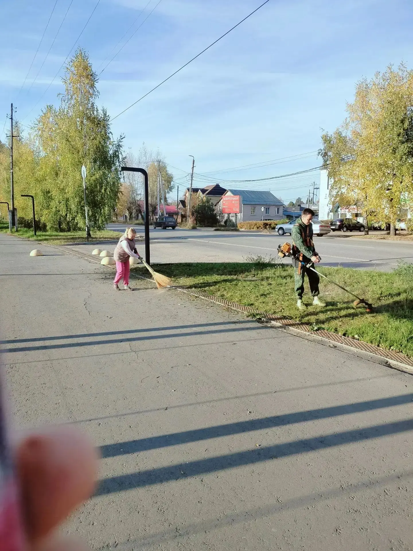 ✂️ Покос травы и обрезка поросли + уборка — сегодня в центре!