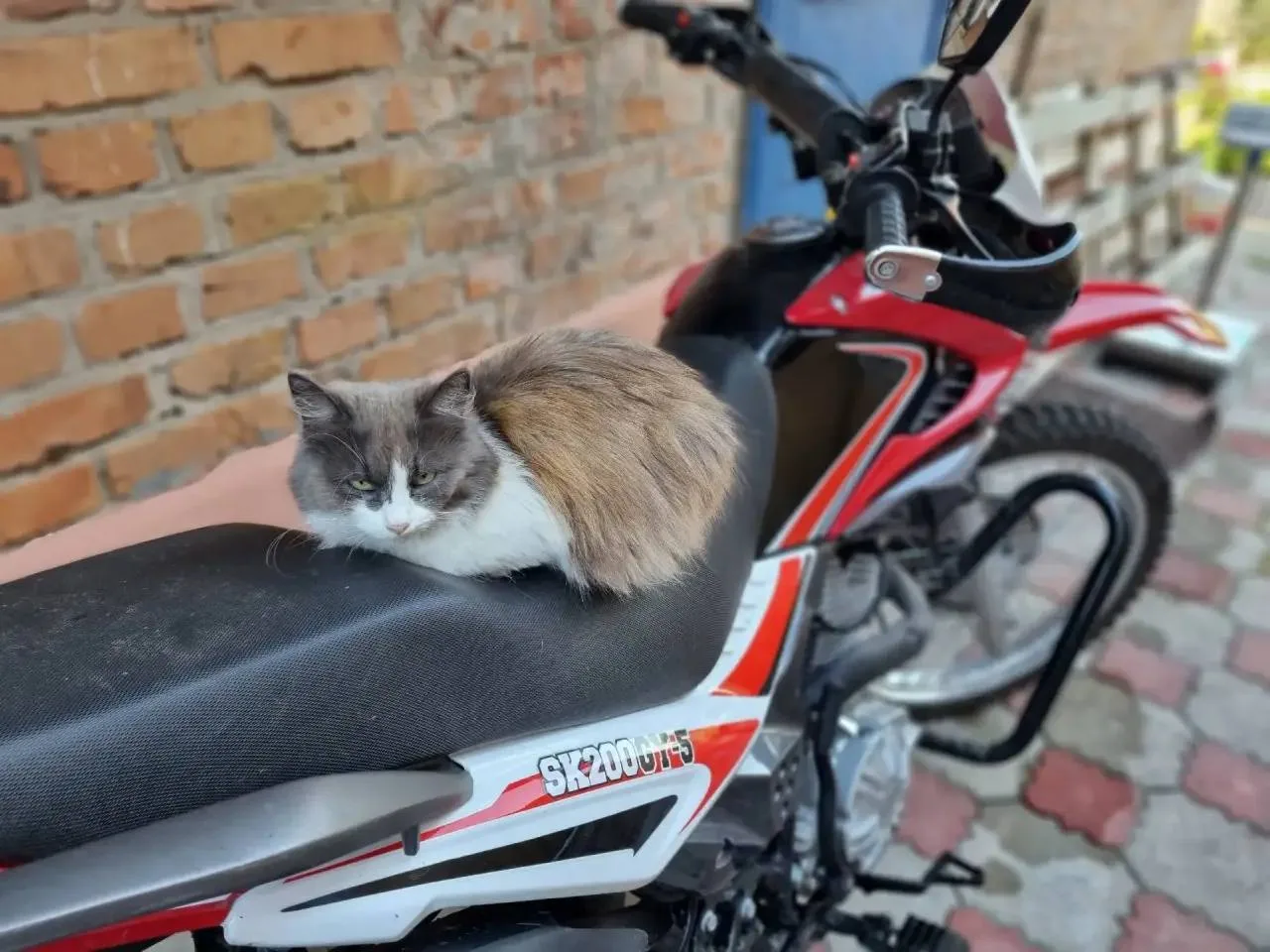 🏍 В Железногорске могут ввести временные ограничения на движение мототехники в ночное время

Поводо
