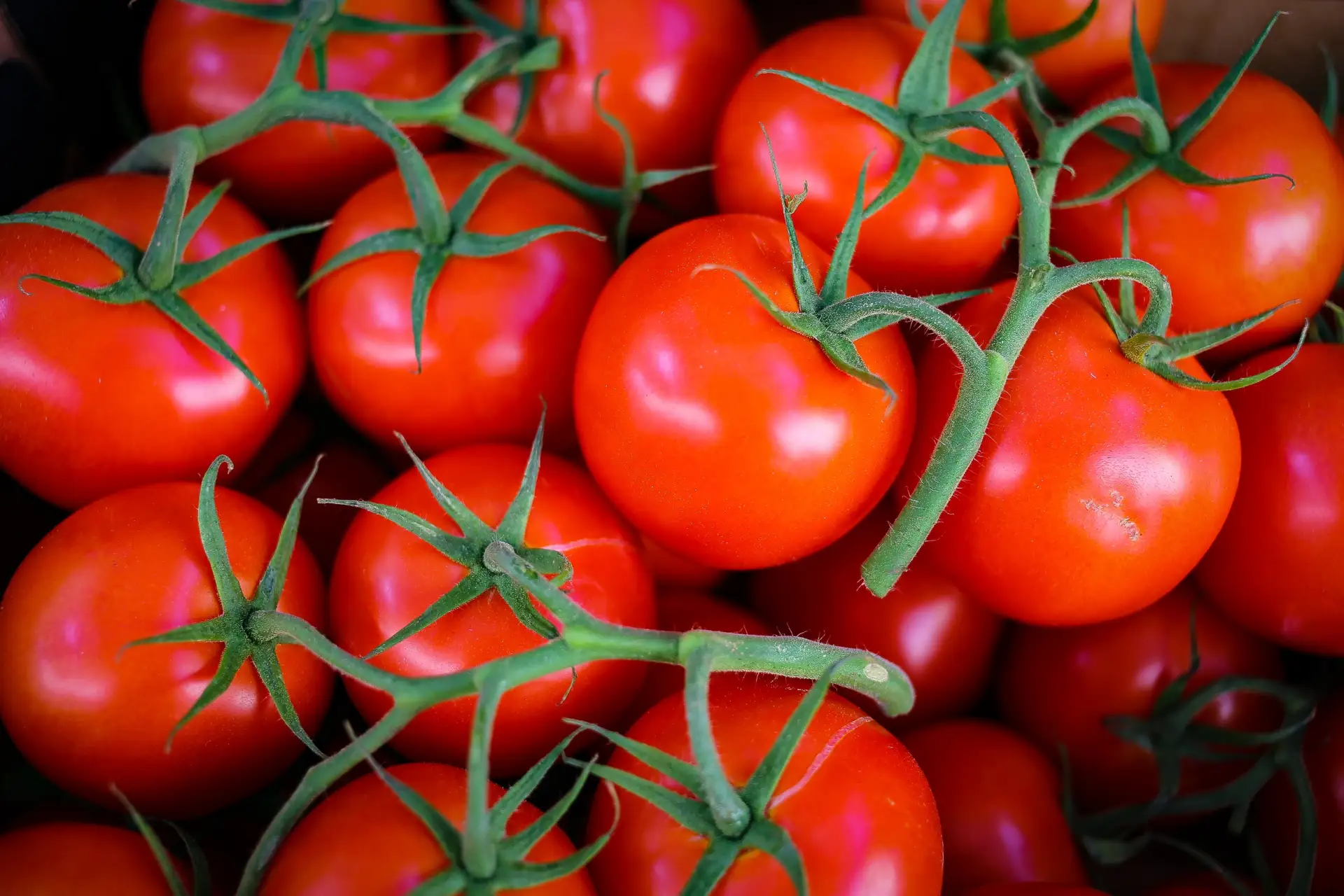 🔍В хозяйствах Магадана и Приморья начался отбор сельхозпродукции для проведения исследований на пес