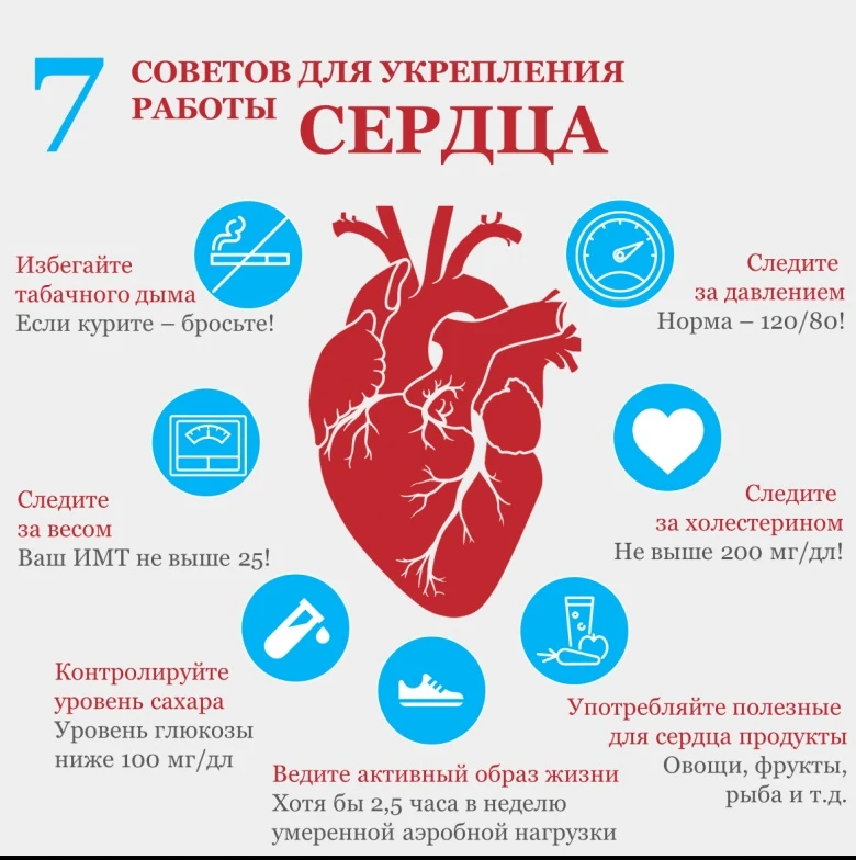 Сердце - наша главная рабочая мышца, которая без перерывов и выходных качает кровь по т...