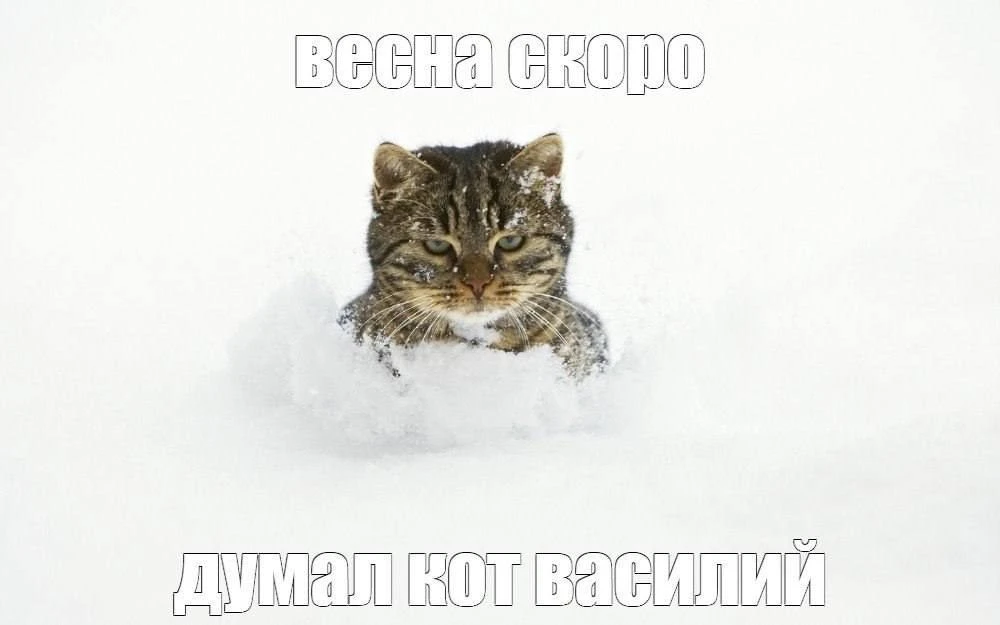 Нижегородская область наряду с Камчаткой и Сибирью стала рекордсменом по высоте сугробов По данным ц