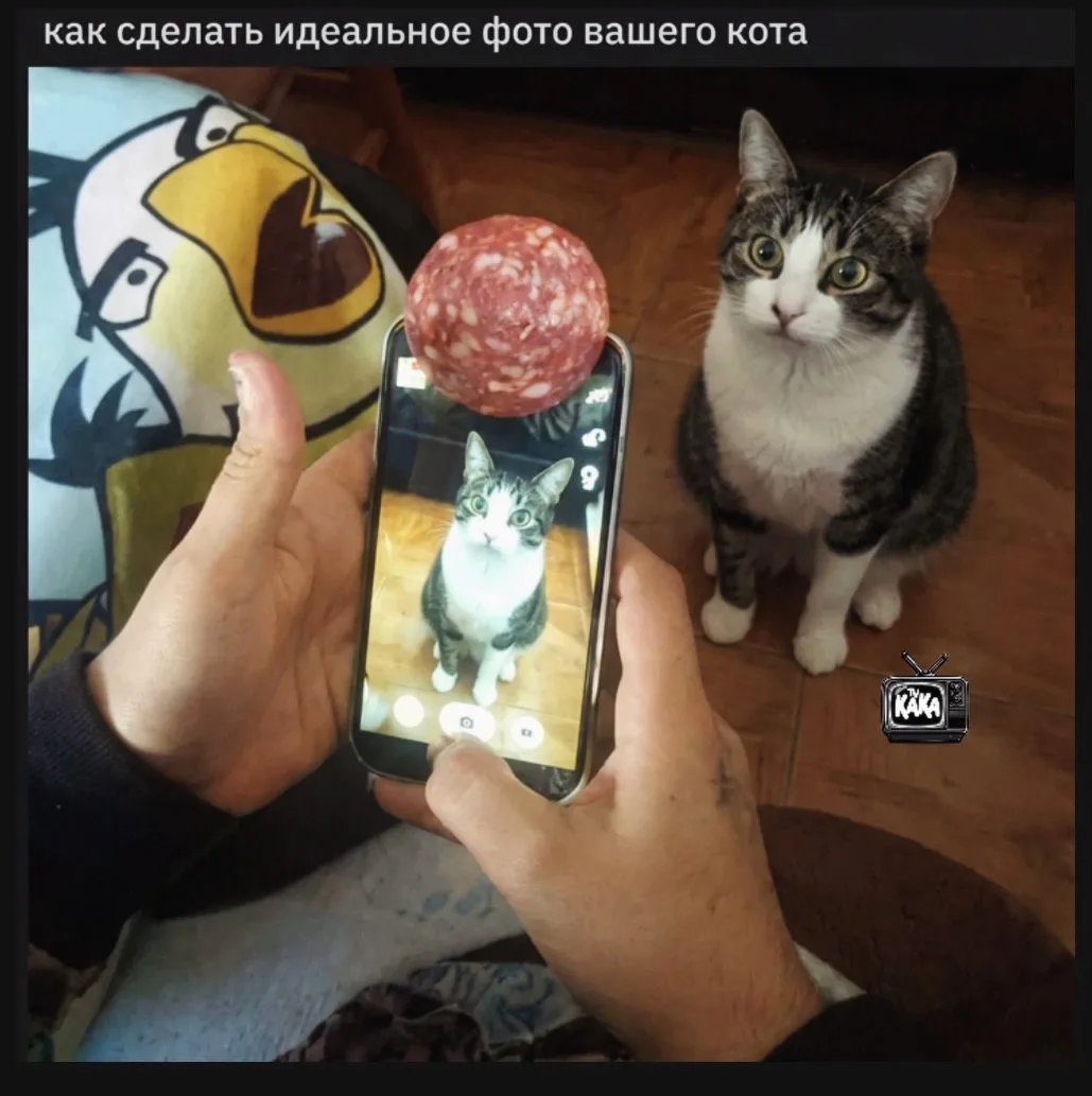 По Щучьему Велению