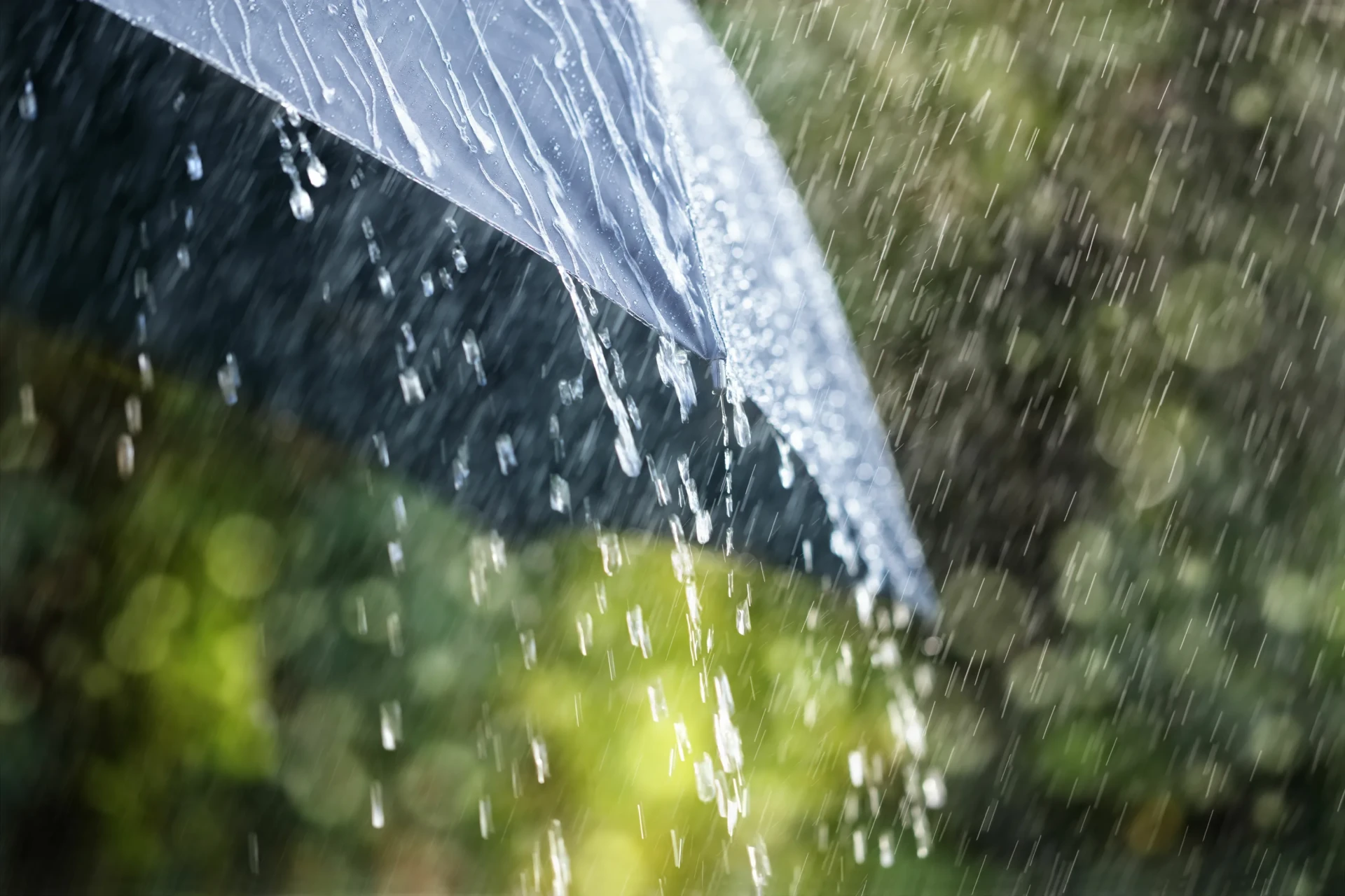⛈️ По данным Краснодарского гидрометцентра, местами в Краснодарском крае (исключая муни...
