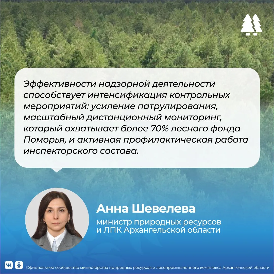 🚨🌳 В минлеспроме Поморья подвели итоги лесного надзора за первое полугодие

Лесные инспекторы минл