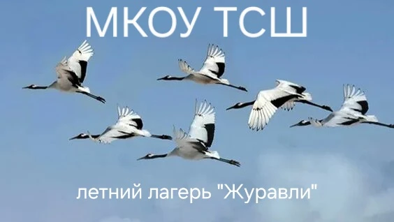 💥19.06.2026 в летнем   оздоровительном лагере "Журавли" на базе МКОУ ТСШ прошло закрытие смены.Учащ