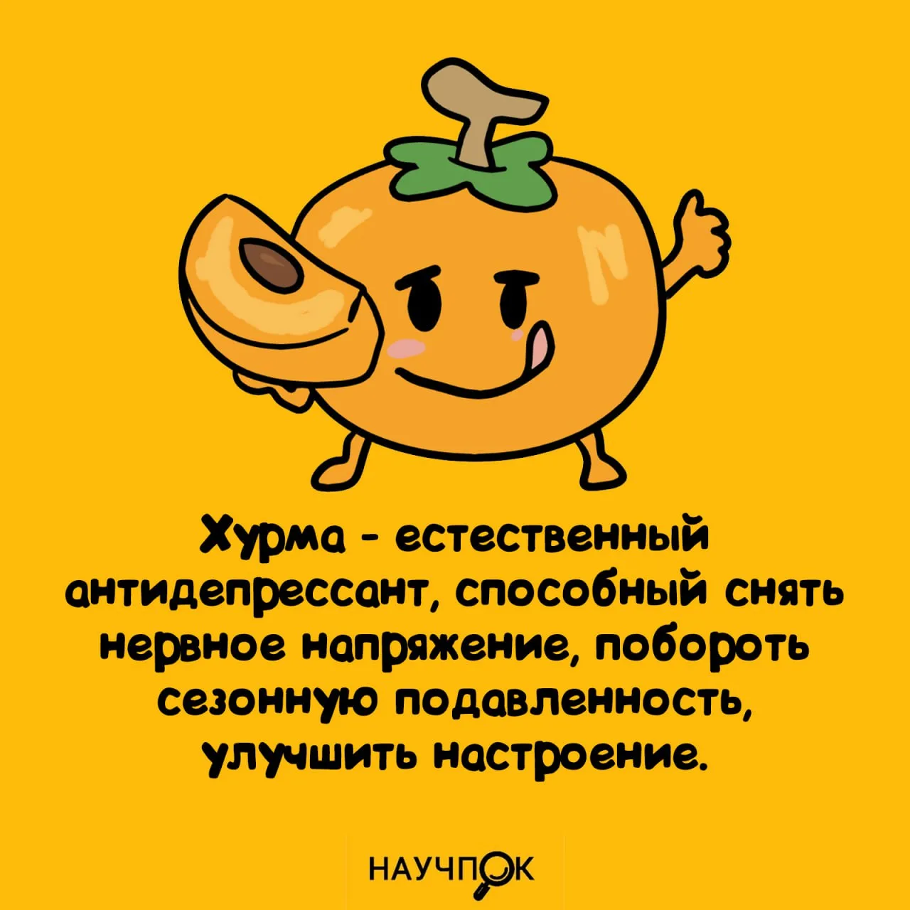 Научпок | Подписаться