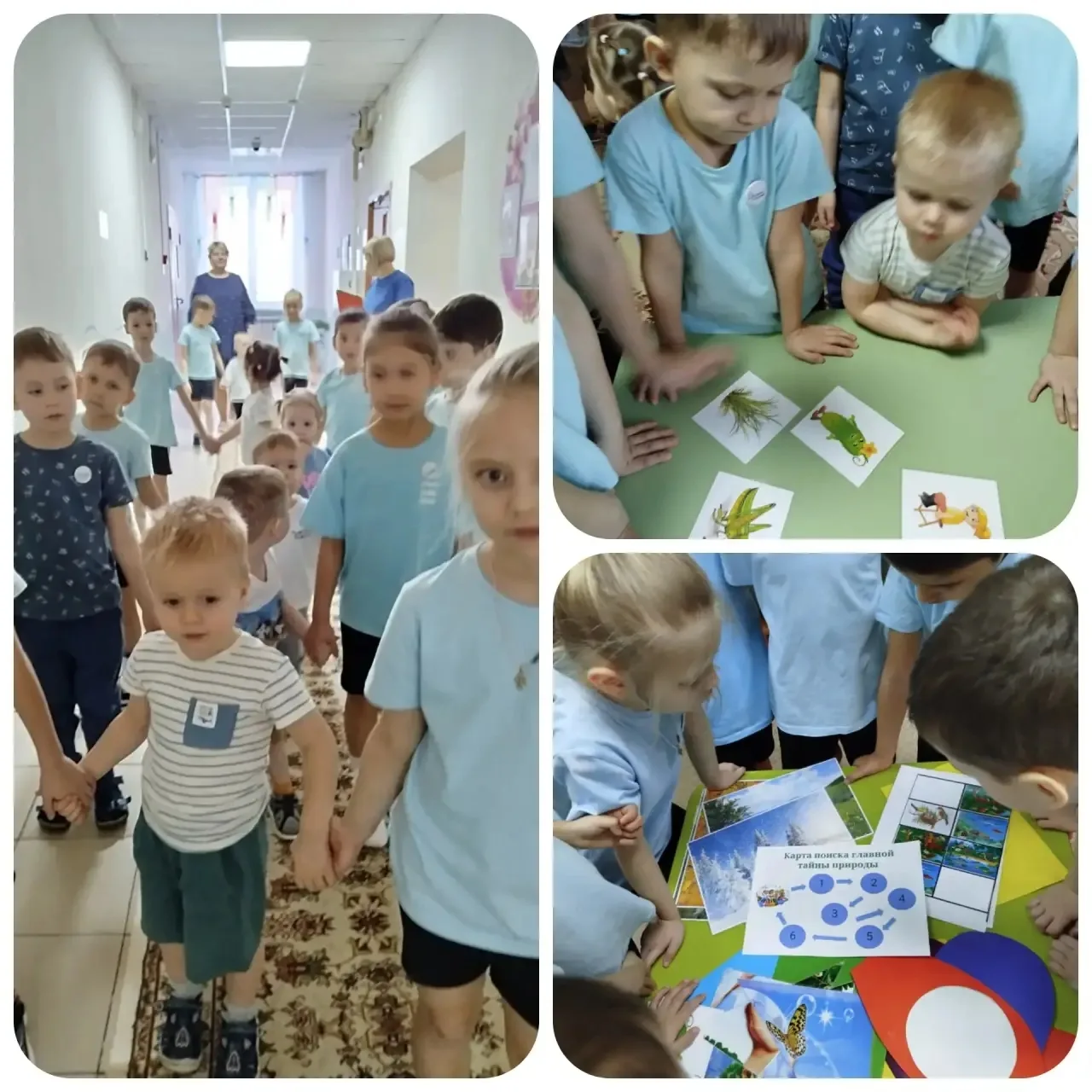 🌟 Сегодня в нашем детском саду прошел замечательный квест " Дерево дорого плодами, а человек делами