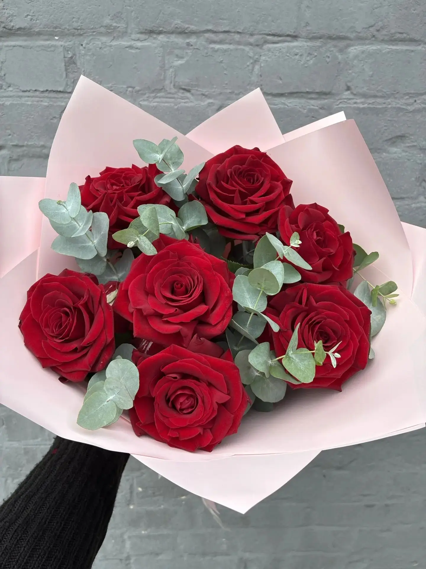 Как всегда прекрасные розы🌹🤍🌹