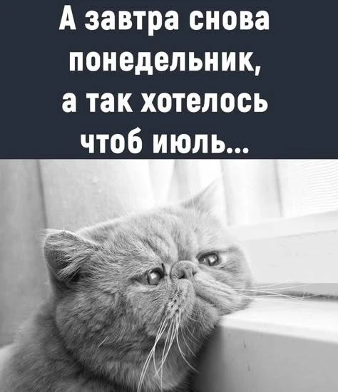 МЕМАСНАЯ