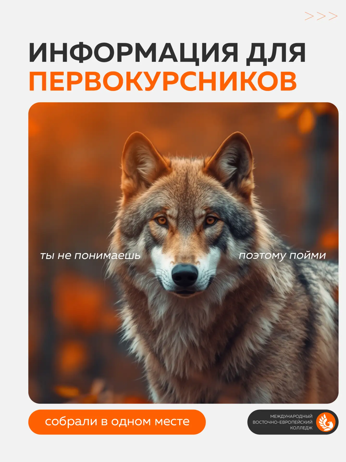 Собрали последние актуальные новости для первокурсников здесь
