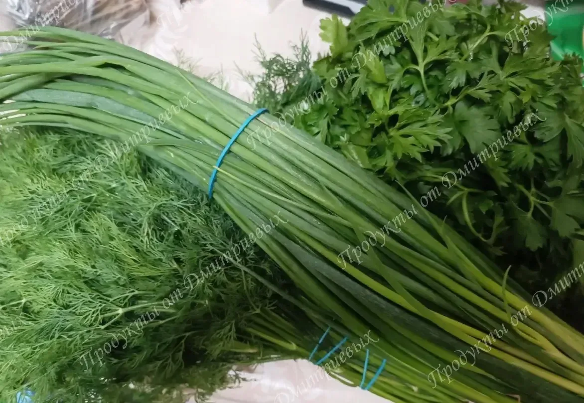 🌿💚🌿💚🌿💚🌿