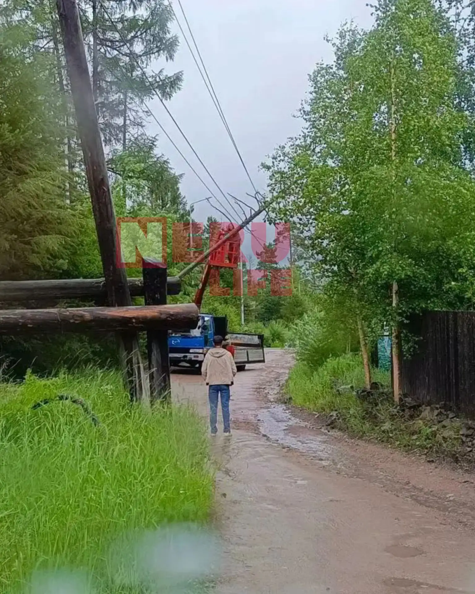 На Чурапче упало дерево, поэтому пропал свет