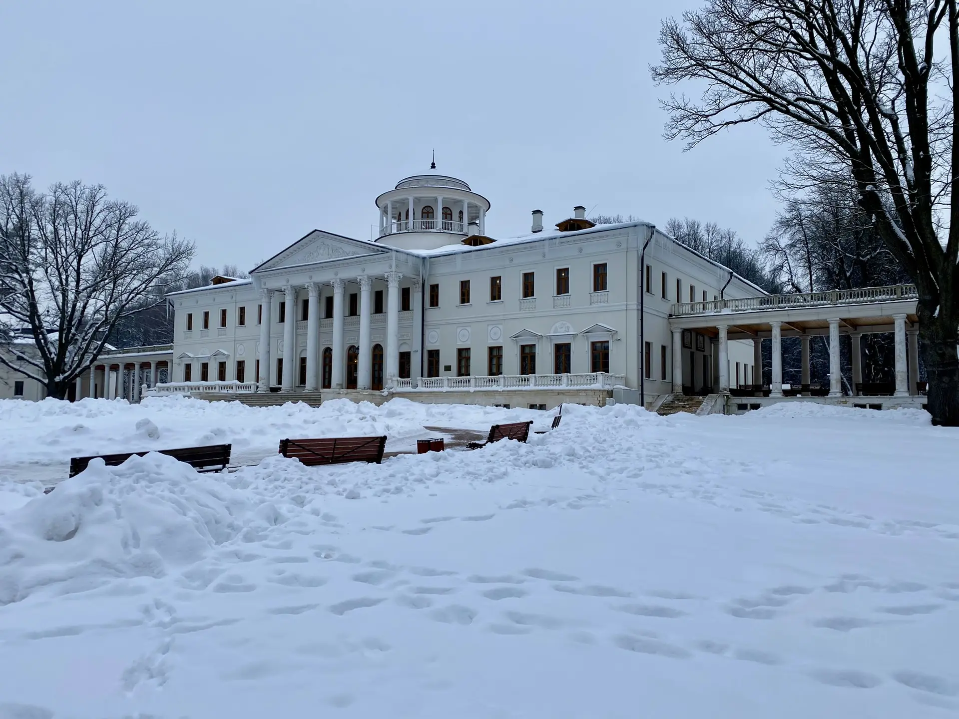 Новогодние перемены: из зимы в «Русский Парнас» 🏛️

Иногда новые пути начинаются с протоптанной тро