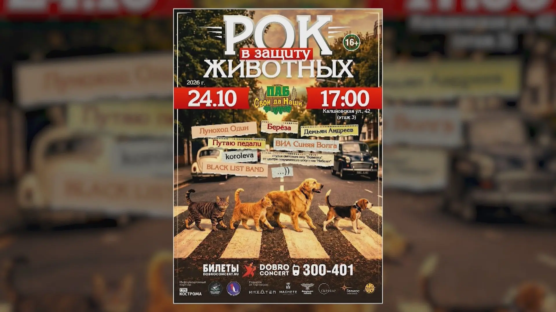В Костроме пройдет благотворительный концерт «Рок в защиту животных»