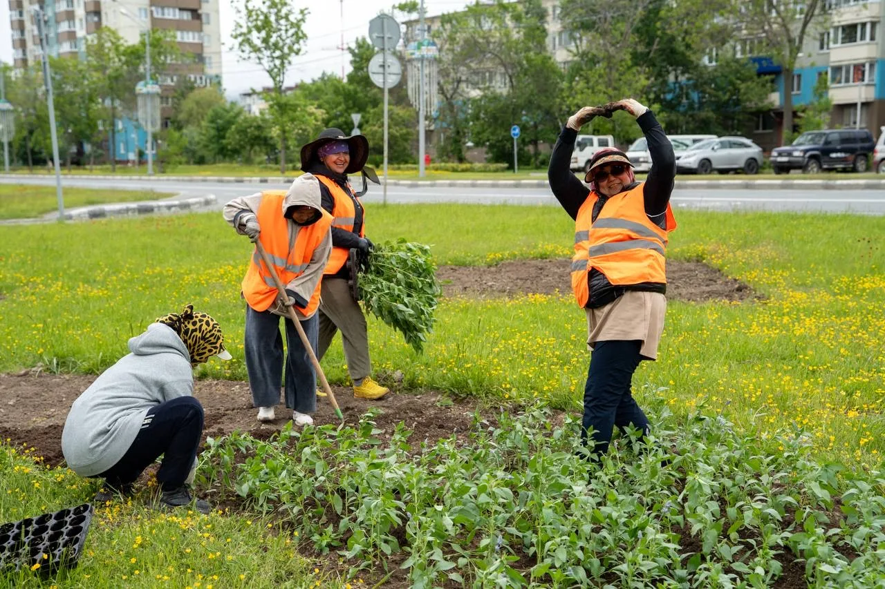 Ещё более 50 тысяч цветов украсили Южный на этой неделе 🌺

Бригады трудились на проспекте Мира и ул