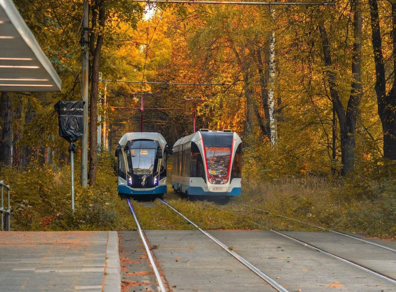 🧸 Осенняя Москва