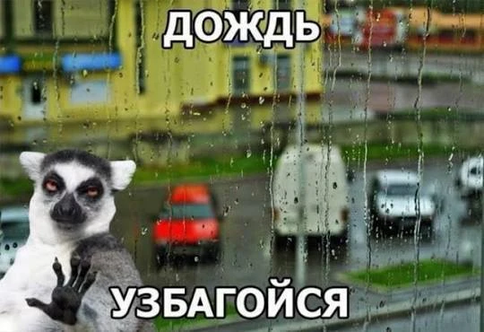 ☔️В Оренбурге уже выпало 153% месячной нормы осадков. 

Июнь в этом году явно решил пойти по своему 