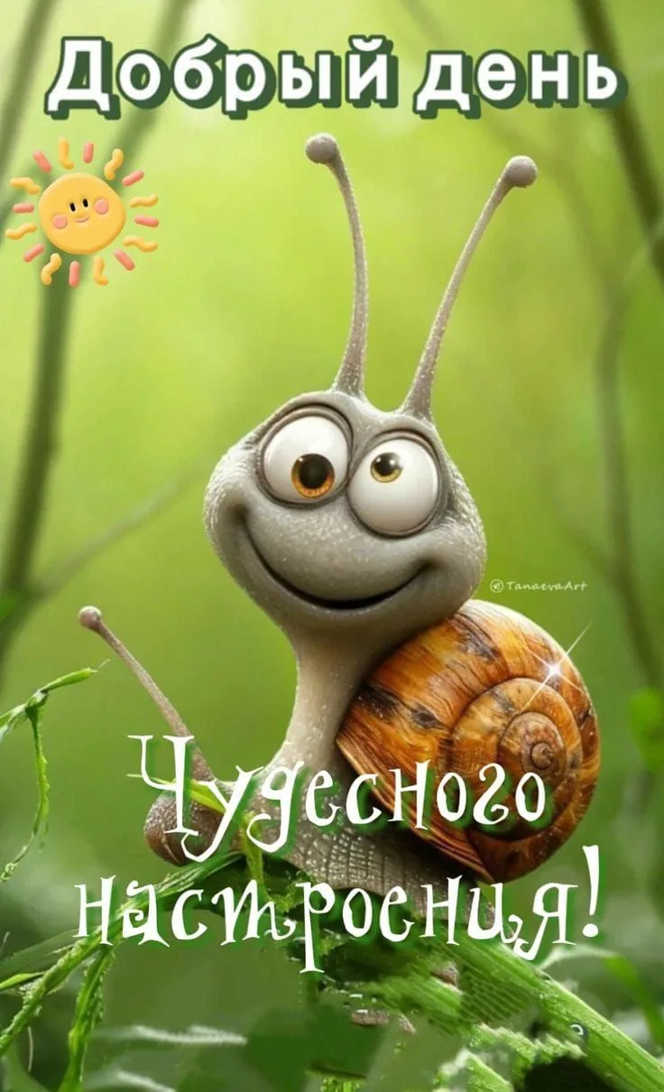 Всем доброго дня 🤗
