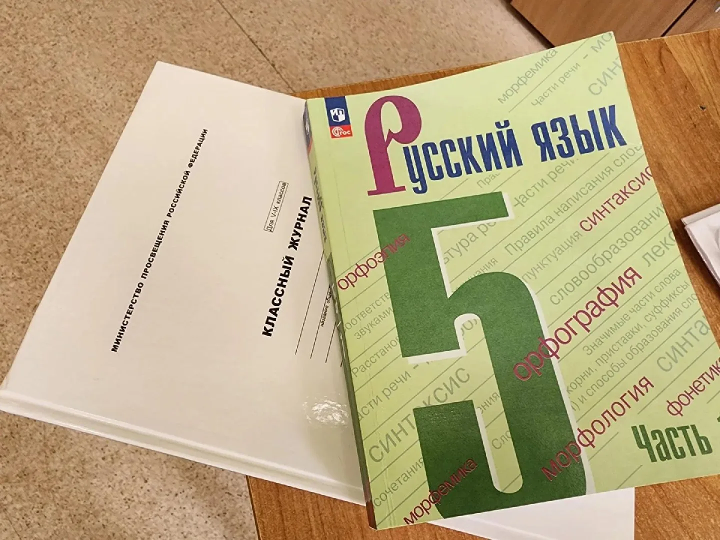 В первой школе пополнение в педагогическом коллективе ✨