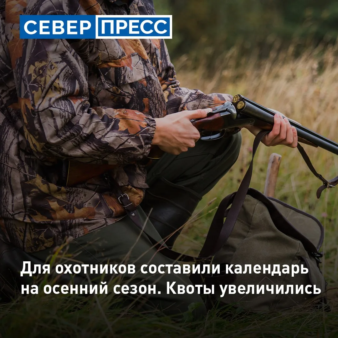 На Ямале утвердили новые квоты на добычу охотничьих ресурсов. Лимиты на 2026–2027 годы выросли по вс